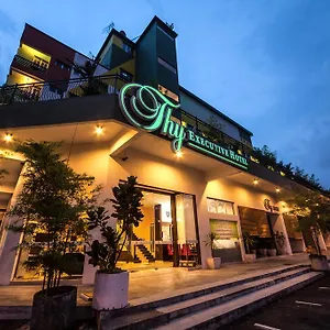 Thy Executive Hotel Отель